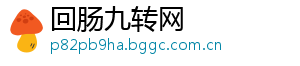 回肠九转网